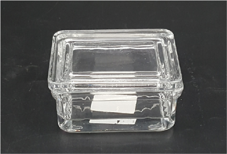 Glass Slide Staining Dish with Cover