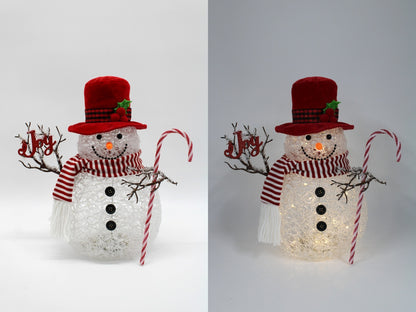 Plastic Christmas Ornament