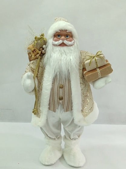 Santa Claus holding Present and Gift Bag