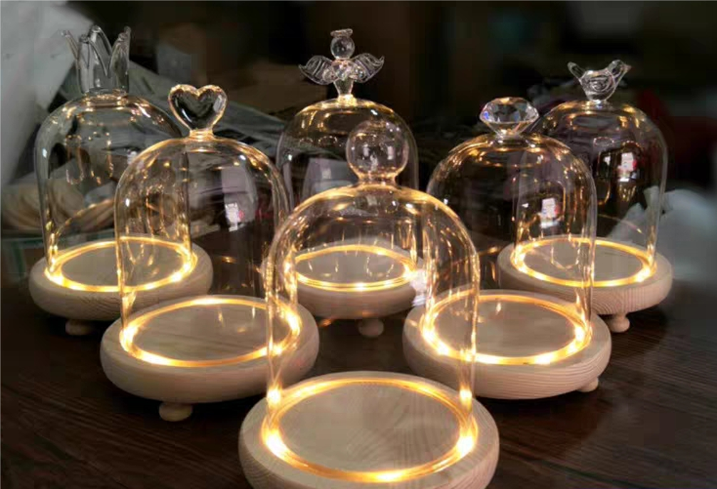 Glass Dome Cloches with Wooden Bases