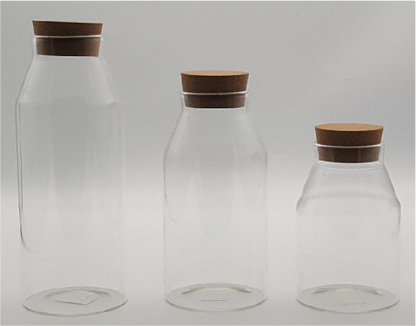 Glass Canister with Wooden Lid