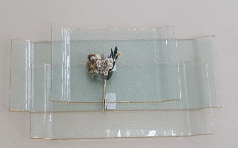 Gold-rimmed Rectangular Glass Serving Plate