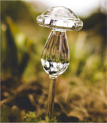 Mushroom-shaped Glass Self-watering Globes